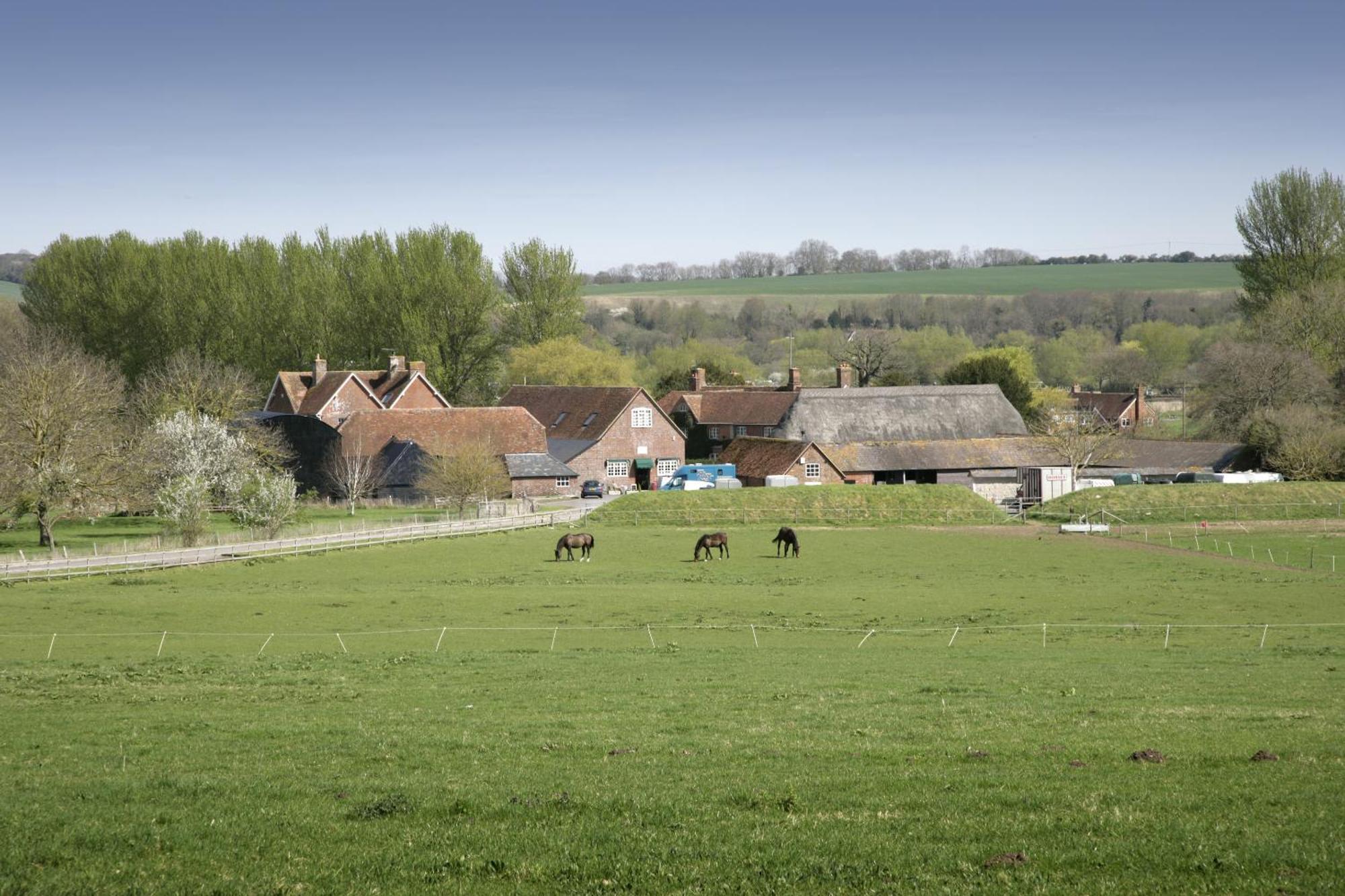 Villa The Old Stables Self Catering à Salisbury Extérieur photo